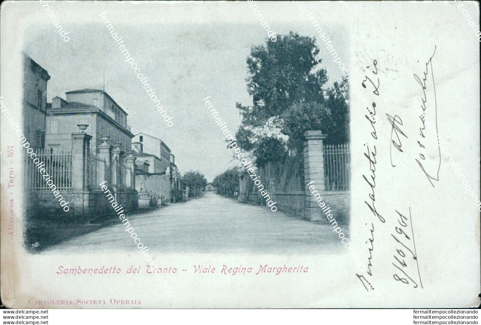 Az562 Cartolina Sanbenedetto Del Tronto Viale R. Margherita 1901 Ascoli Bella!! - Ascoli Piceno