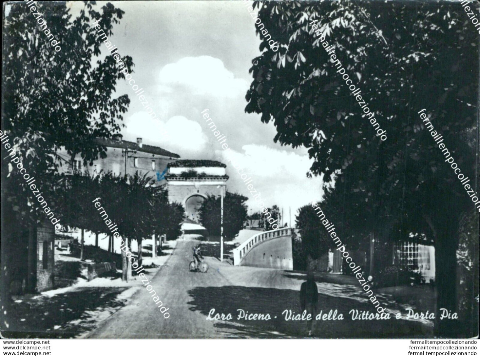 Bu100  Cartolina Loro Piceno Viale Della Vittoria E Porta Pia Macerata Marche - Macerata