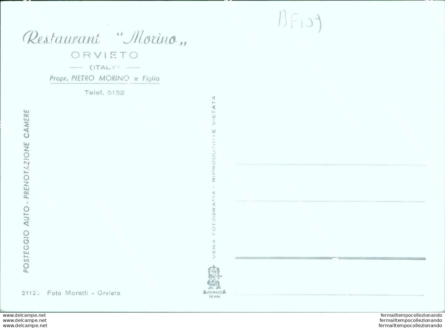 Bf109 Cartolina Orvieto Restaurant Morino Provincia Di Terni - Terni