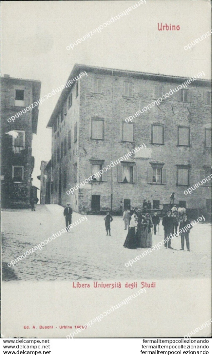 Ba146 Cartolina Urbino Citta' Libera Universita' Degli Studi Marche Inizio 900 - Urbino