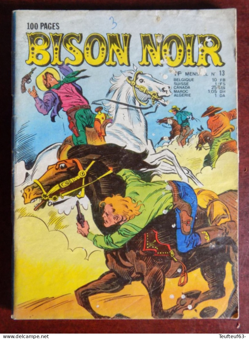 CC8/ Bison Noir N° 13 - Petit Format