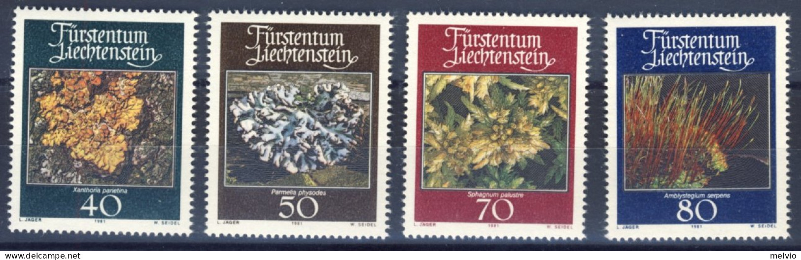 1981-Liechtenstein (MNH=**) Serie 4 Valori Muschi E Licheni - Andere & Zonder Classificatie