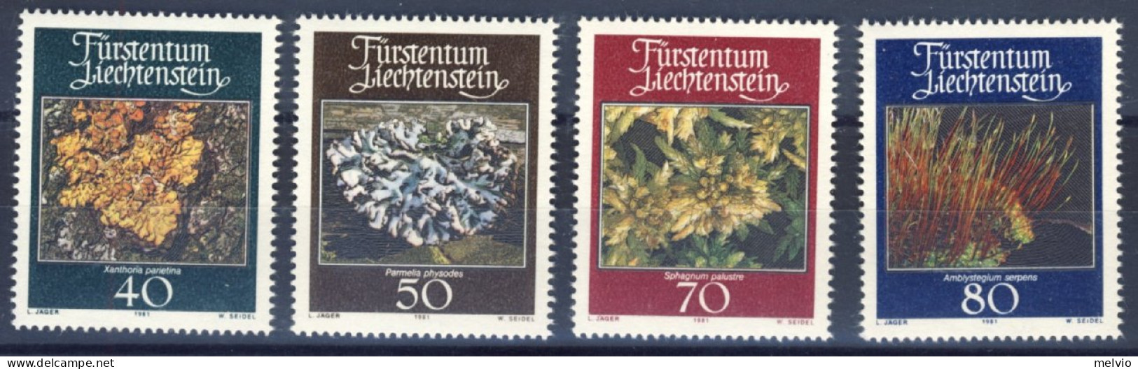 1981-Liechtenstein (MNH=**) Serie 4 Valori Muschi E Licheni - Autres & Non Classés