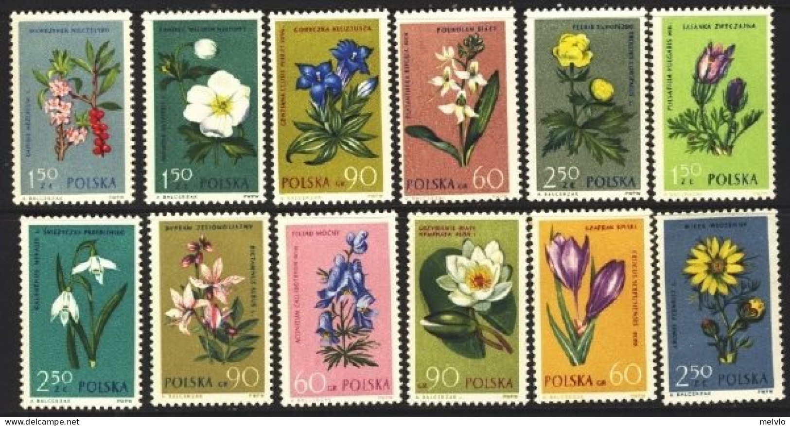 1962-Polonia (MNH=**) S.12v."Fiori, Flowers" - Sonstige & Ohne Zuordnung