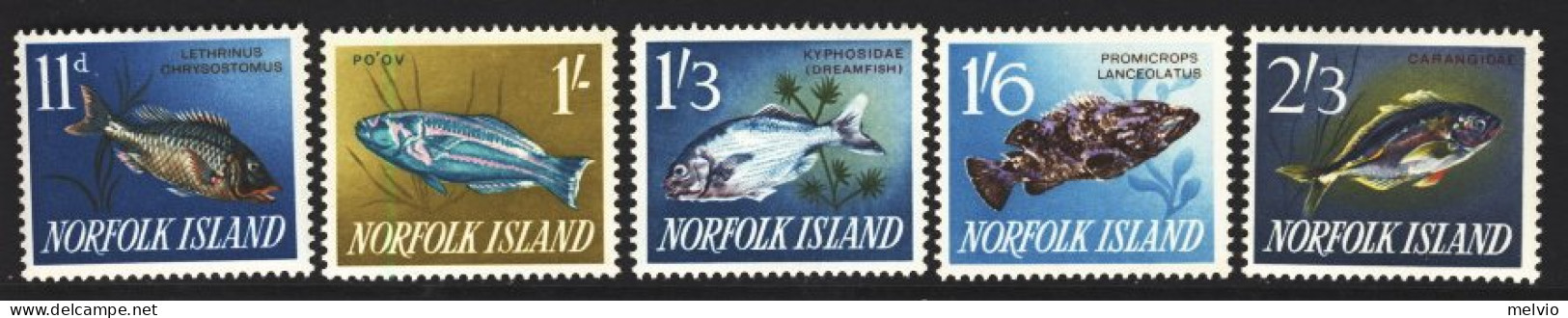 1962/3-Norfolk Island (MNH=**)  5 Valori "Pesci, Fishes" - Ile Norfolk