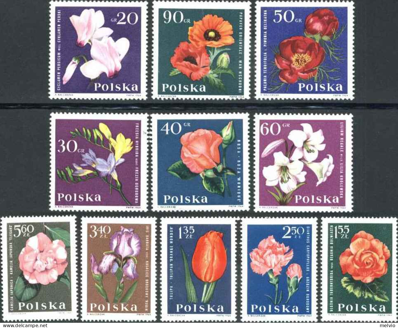 1964-Polonia (MNH=**) S.12v."fiori"cat.Yvert Euro 7,75 - Sonstige & Ohne Zuordnung