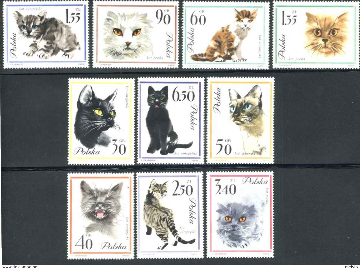 1964-Polonia (MNH=**) S.10v."gatti"cat.Yvert Euro 15 - Sonstige & Ohne Zuordnung