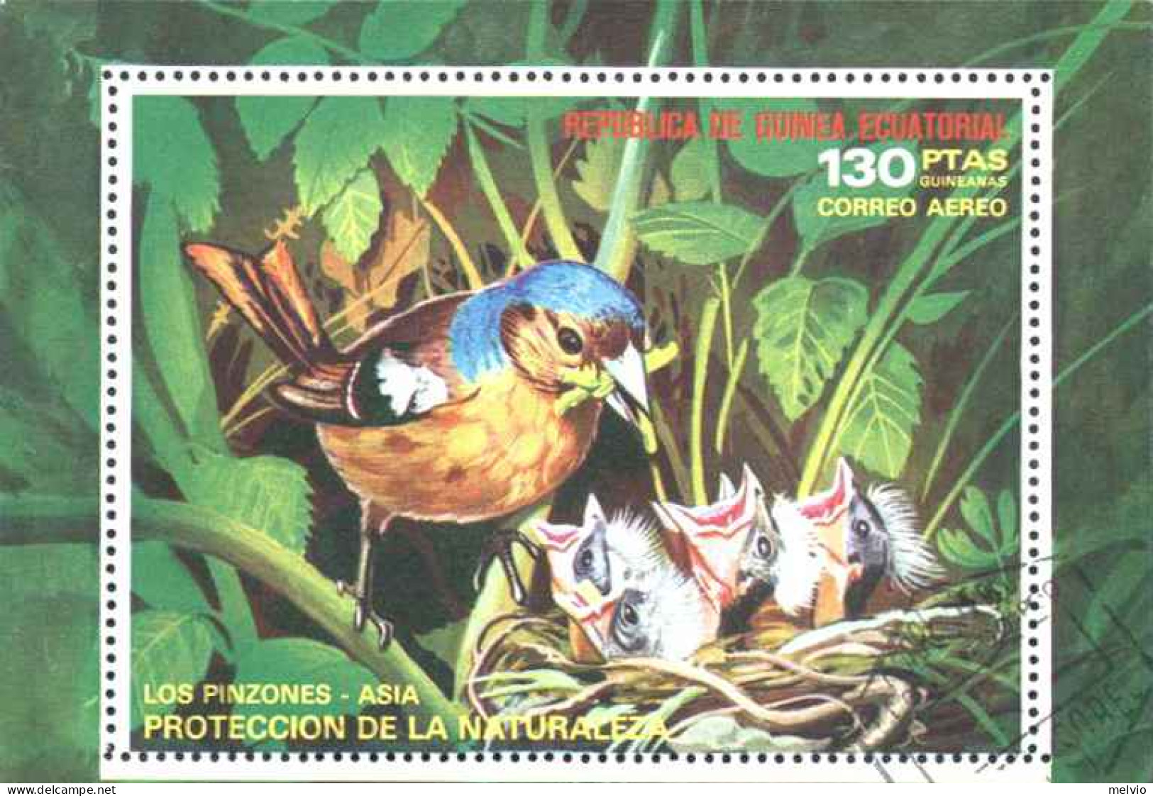 1975-Guinea Equatoriale (O=used) Foglietto Usato S.1v."protezione Della Natura U - Equatorial Guinea