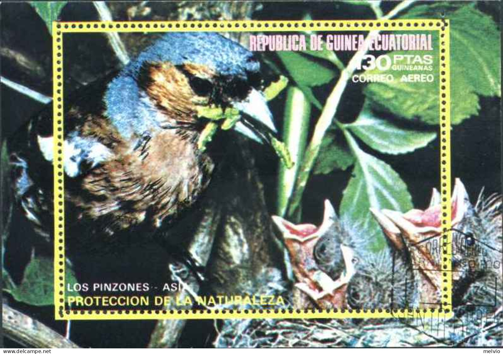 1973-Guinea Equatoriale (O=used) Foglietto Usato S.1v."protezione Della Natura U - Guinée Equatoriale