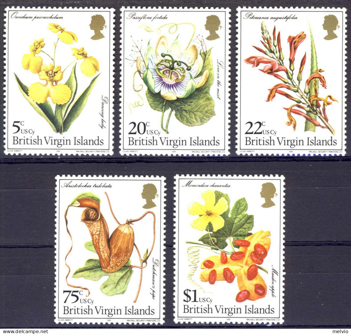 1981-Isole Vergini (MNH=**)s.5v."Flowers" - British Virgin Islands