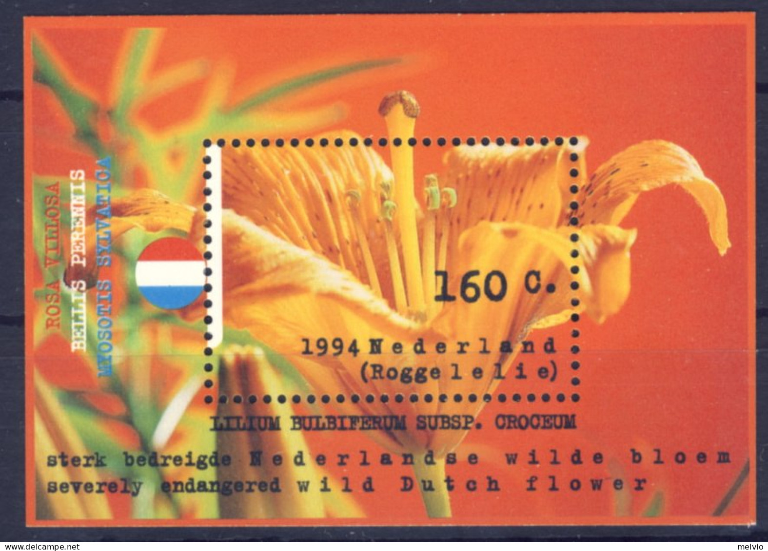 1994-Olanda (MNH=**) Foglietto 1 Valore Natura E Ambiente - Neufs