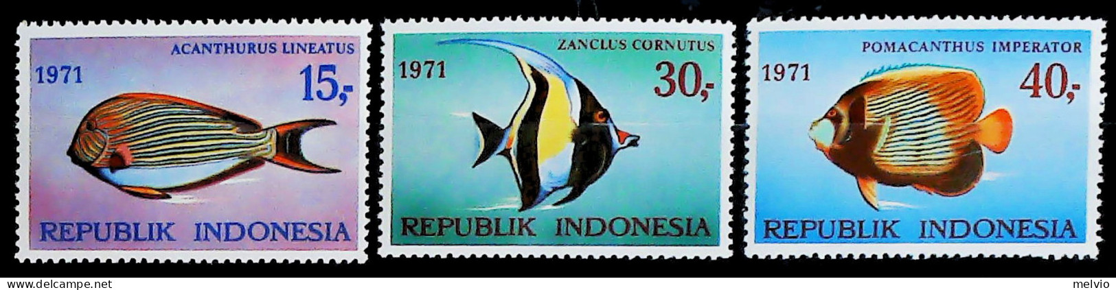 1971-Indonesia (MNH=**) Serie 3 Valori Pesci - Indonesië