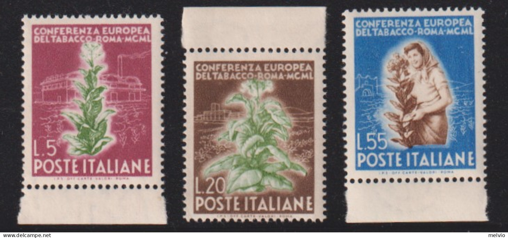 1950-Italia (MNH=**) Serie 3 Valori Tabacco Con Bordo Di Foglio - 1946-60: Nuevos