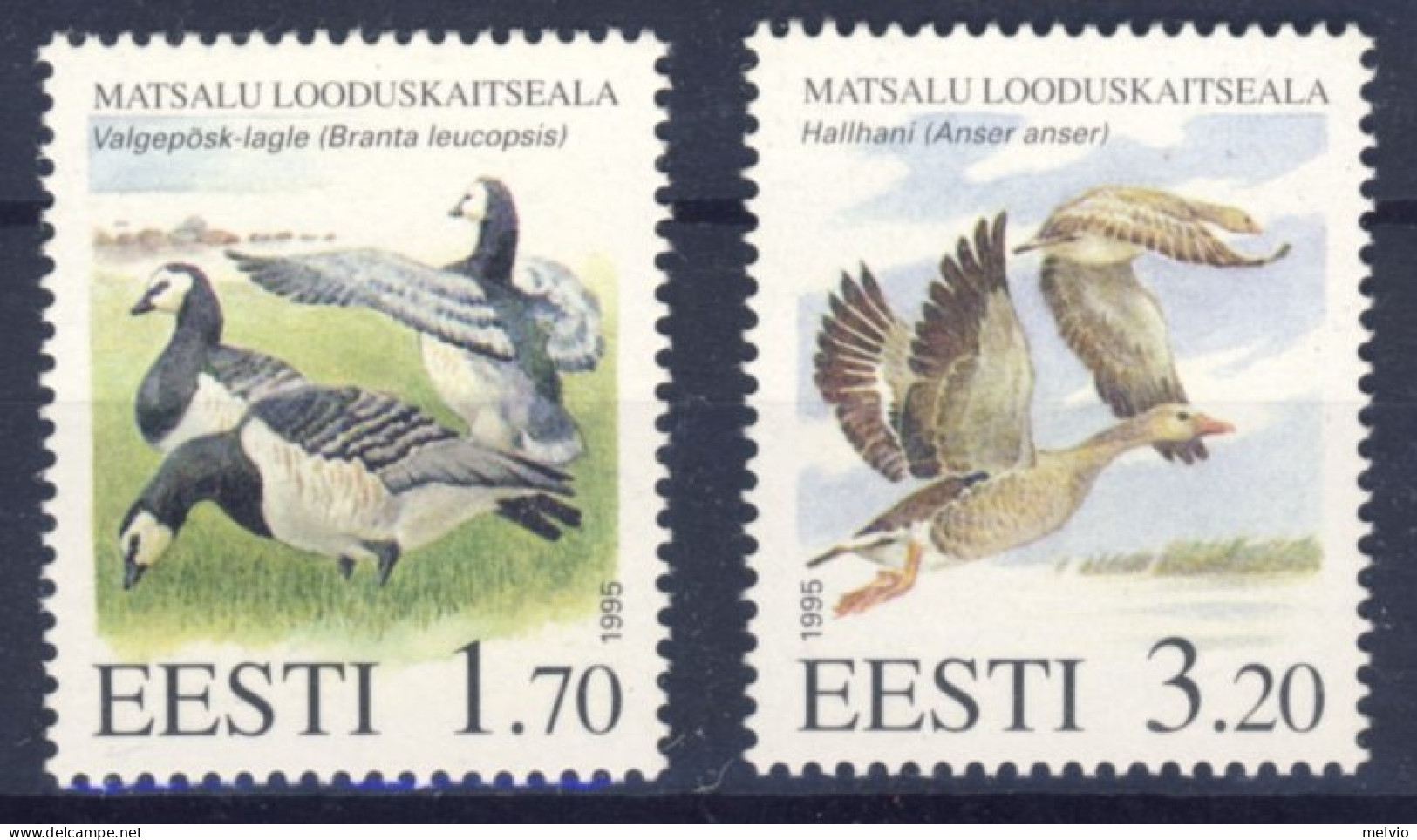1995-Estonia (MNH=**) Serie 2 Valori Oche - Estonie