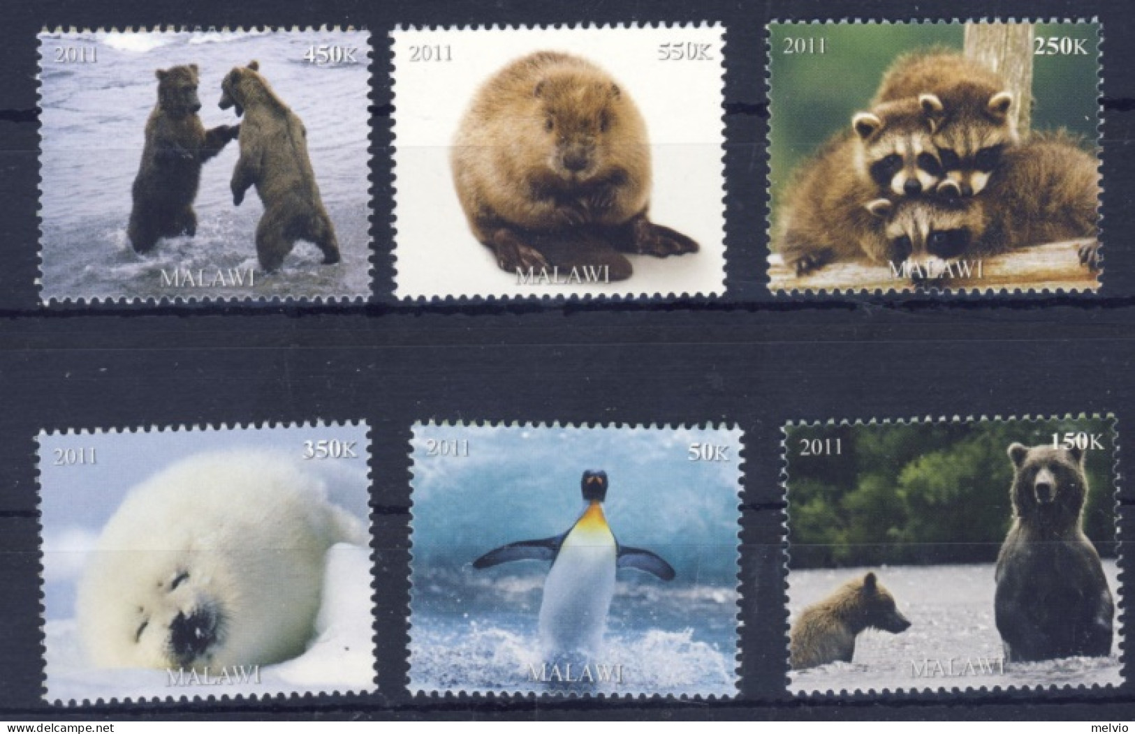 2011-Malawi (MNH=**) Serie 6 Valori Orsi,pinguino,marmotta,cucciolo Di Foca - Malawi (1964-...)