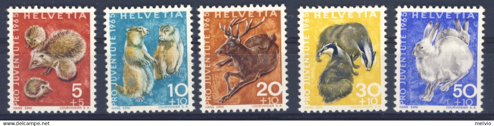 1966-Svizzera (MNH=**) Serie 5 Valori Animali - Other & Unclassified