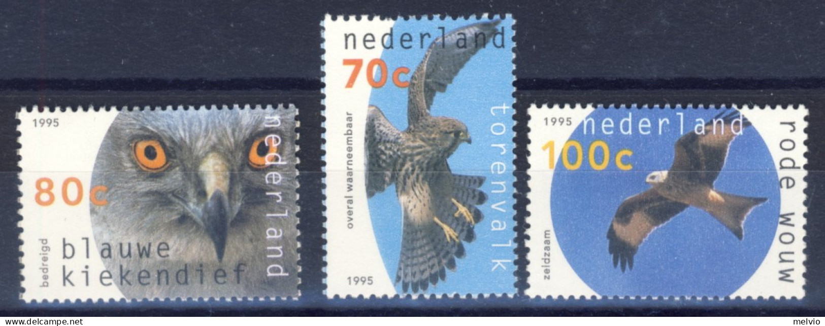 1995-Olanda (MNH=**) Serie 3 Valori Uccelli Rapaci - Unused Stamps