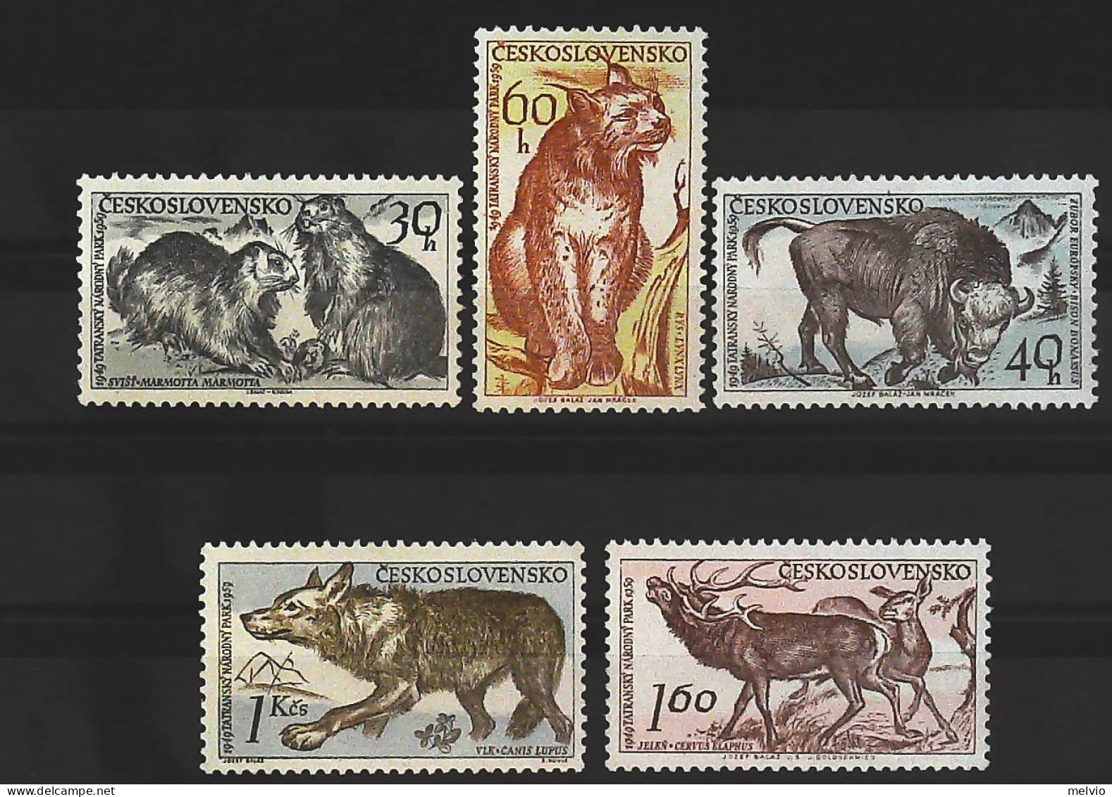 1959-Cecoslovacchia (MNH=**) Serie 5 Valori Lince Bufalo Lupo Cervo - Sonstige & Ohne Zuordnung