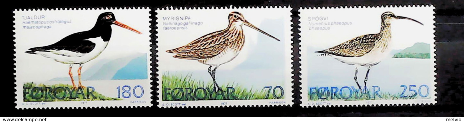 1977-Faeroer (MNH=**) Serie 3 Valori Uccelli - Féroé (Iles)