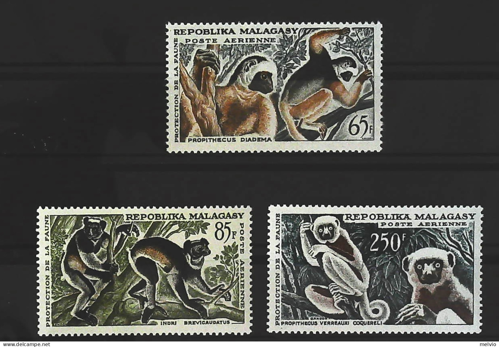 1961-Madagascar (MNH=**) Serie 3 Valori Scimmie - Madagascar (1960-...)