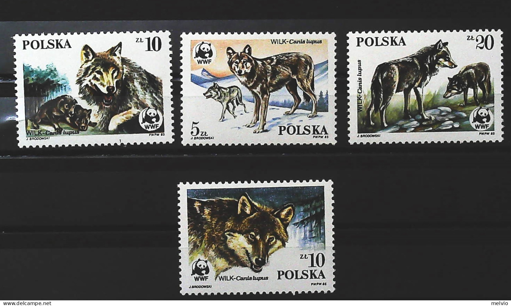 1965-Polonia (MNH=**) WWF Lupi - Sonstige & Ohne Zuordnung