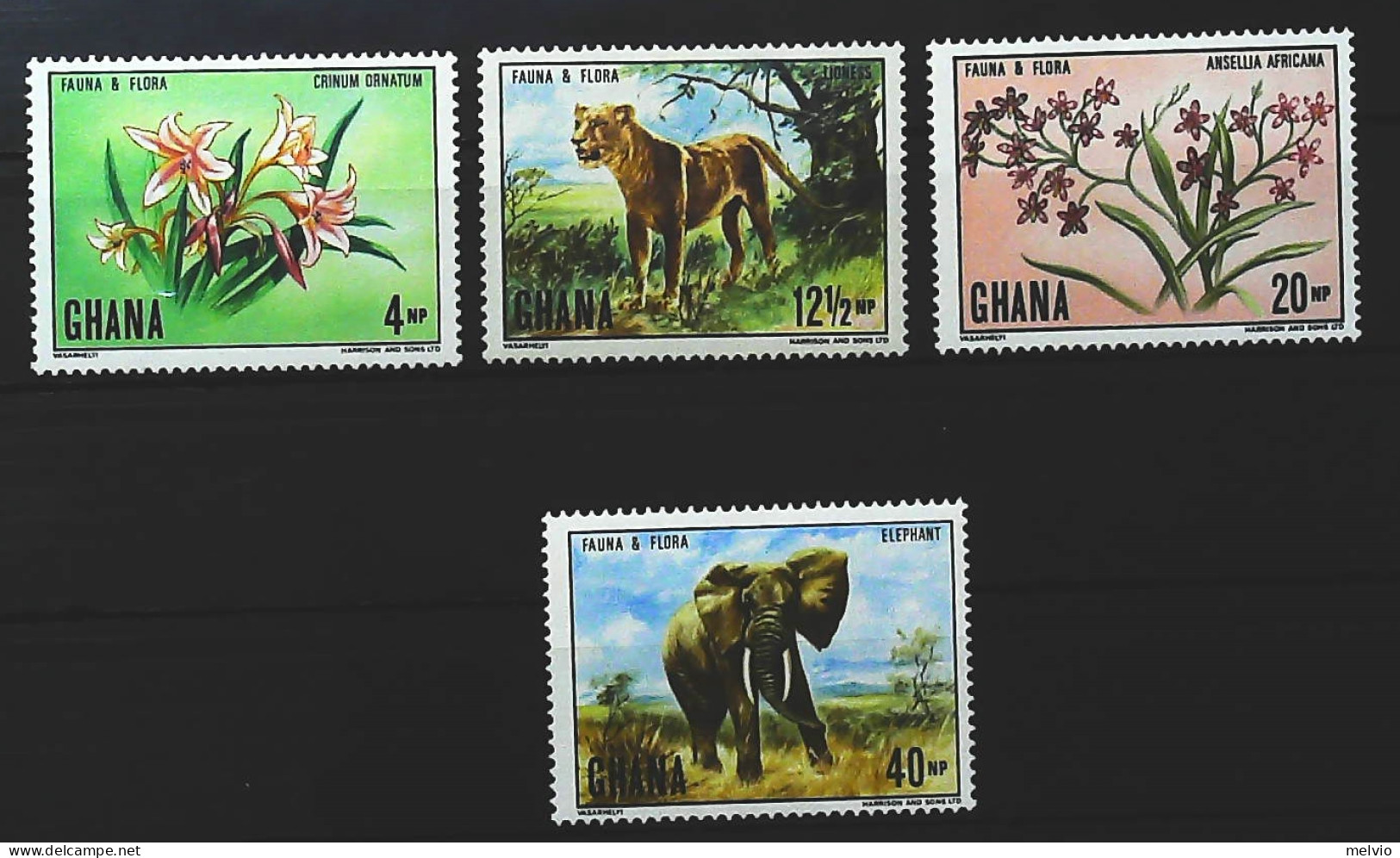 1970-Ghana (MNH=**) Serie 4 Valori Fiori Elefante Leone - Ghana (1957-...)