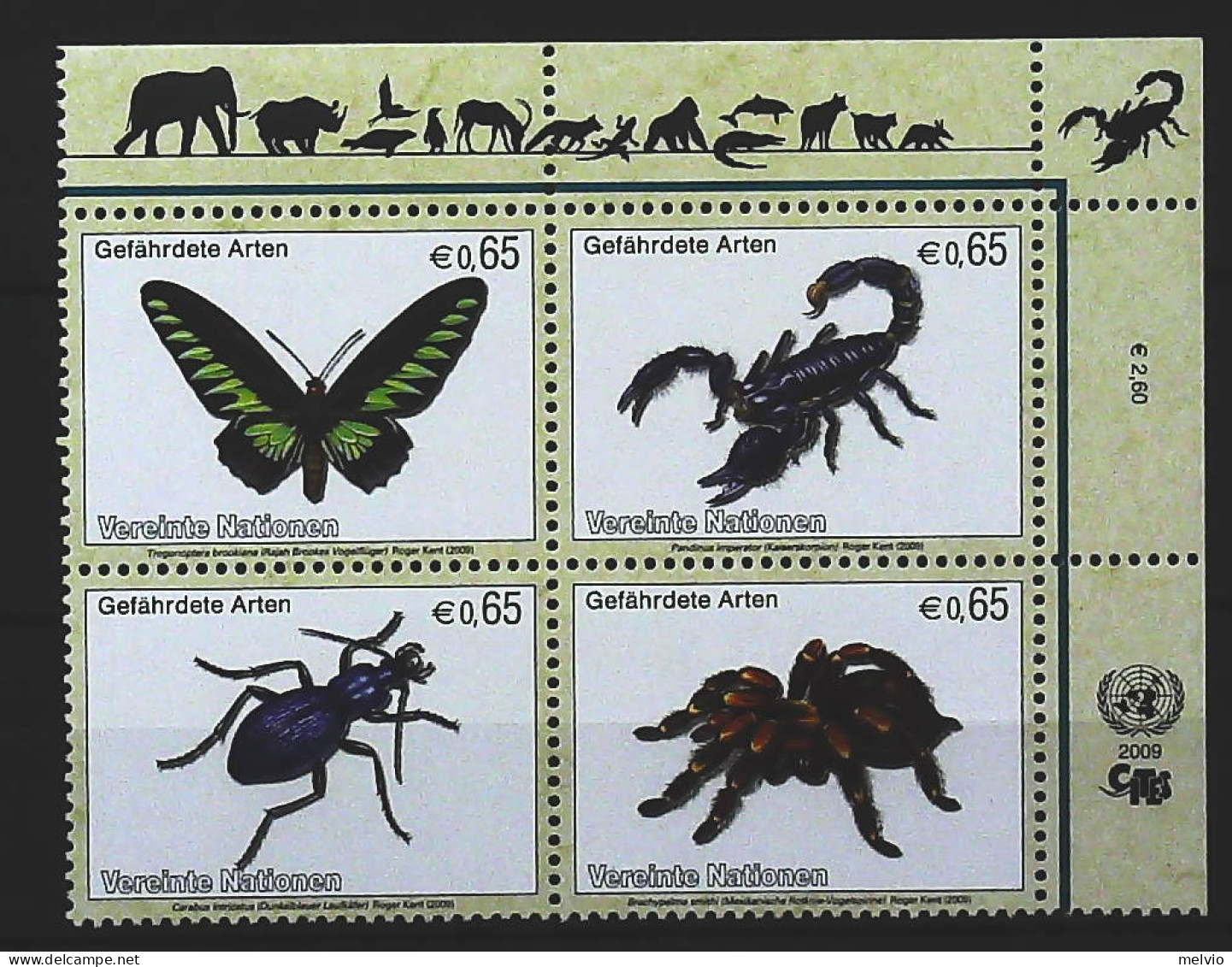 2009-Nazioni Unite (MNH=**) Serie 4 Valori Farfalla Scorpione Insetto Ragno - Autres & Non Classés