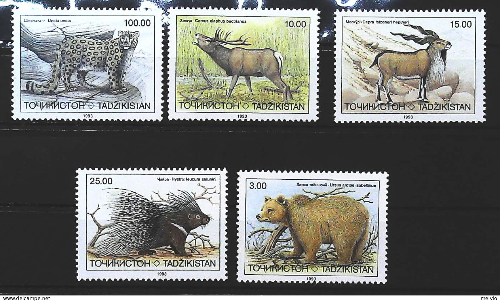 1993-Tagikistan (MNH=**) Serie 5 Valori Antilope Cervo Istrice Also Ghepardo - Tadzjikistan