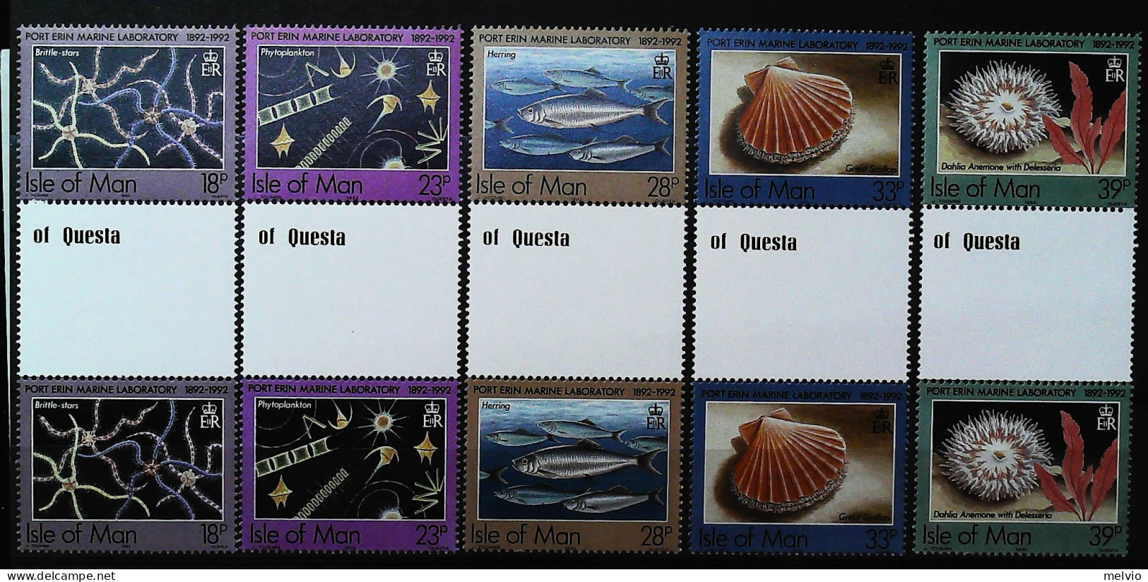 1992-Isola Di Man (MNH=**) Serie 5 Valori Interspazio Di Gruppo Fauna Marina Pes - Isle Of Man