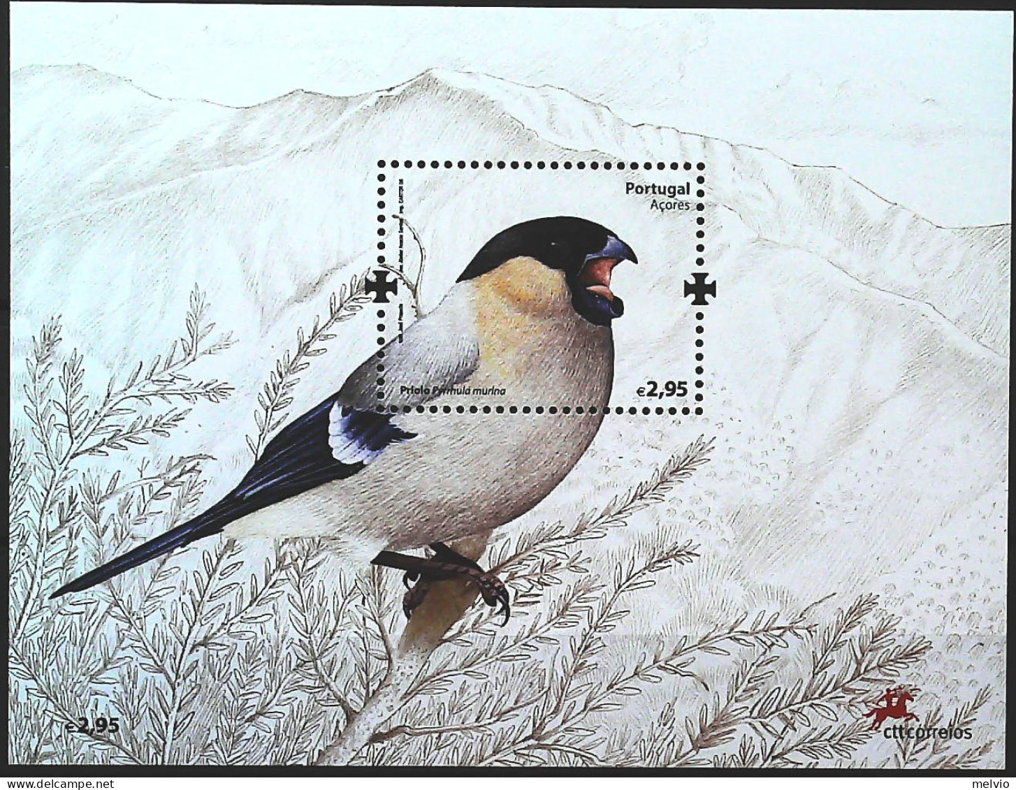 2008-Azzorre (MNH=**) Foglietto 1 Valore Uccello - Açores