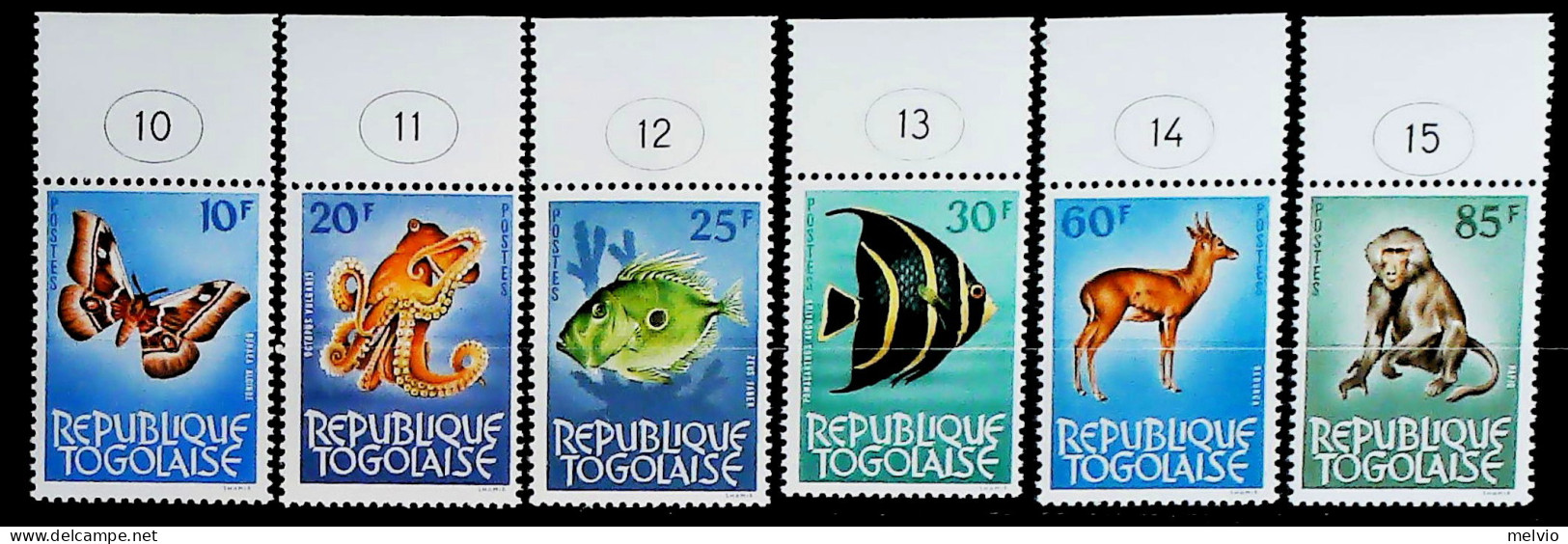 1964-Togo (MNH=**) 6 Valori Farfalla Pesci Scimmia5 - Togo (1960-...)