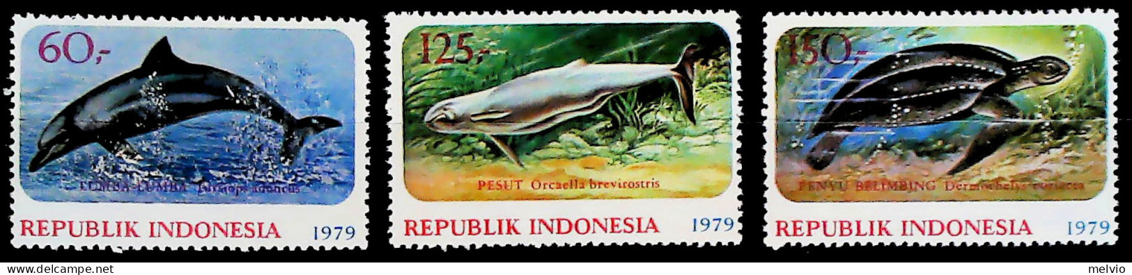 1979-Indonesia (MNH=**) Serie 3 Valori Animali Marini - Indonesia