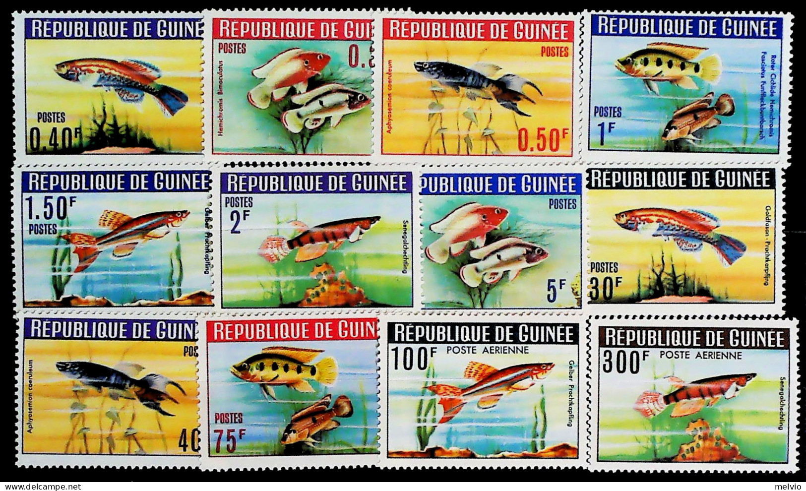 1964-Guinea (MNH=**) Serie 12 Valori Pesci - Guinée (1958-...)