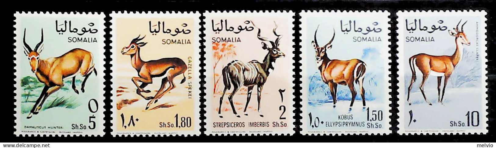 1968-Somalia (MNH=**) Serie 5 Valori Antilopi - Somalie (1960-...)