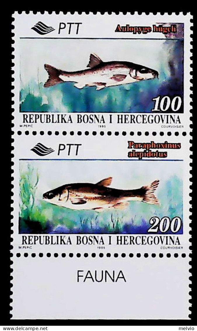 1995-Bosnia Erzegovina (MNH=**) Serie 2 Valori Pesci - Bosnië En Herzegovina