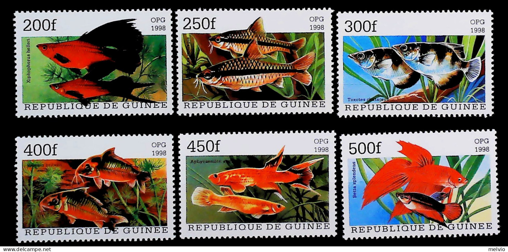 1998-Guinea (MNH=**) Serie 6 Valori Pesci - Guinée (1958-...)