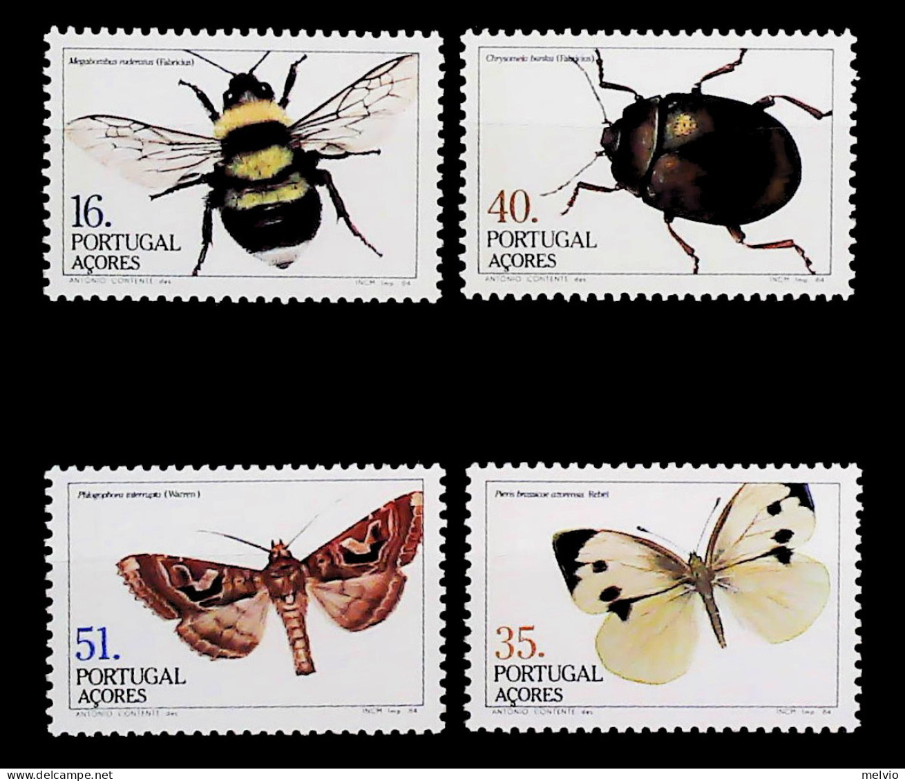 1984-Azzorre (MNH=**) Serie 4 Valori Farfalle,insetto,ape - Açores