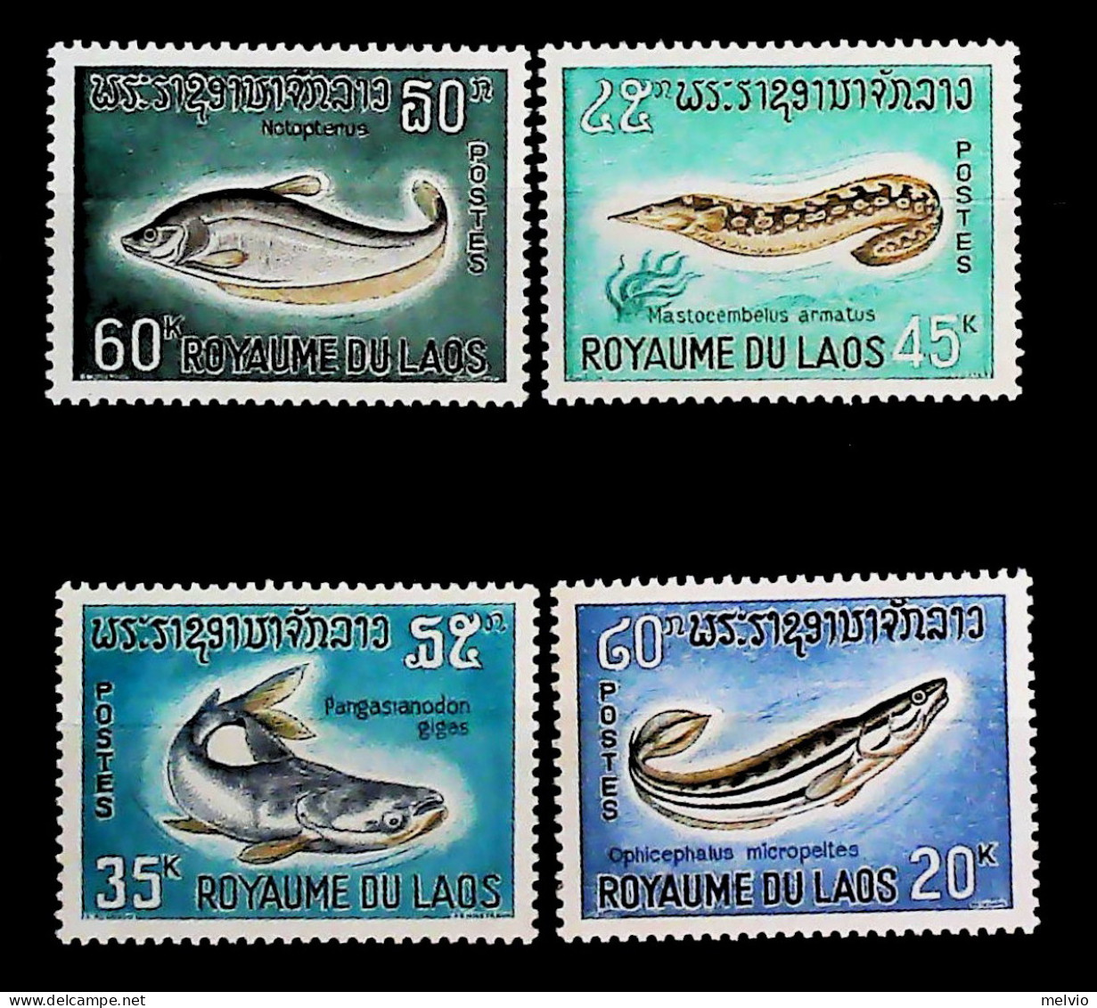 1967-Laos (MNH=**) Serie 4 Valori Pesci - Laos