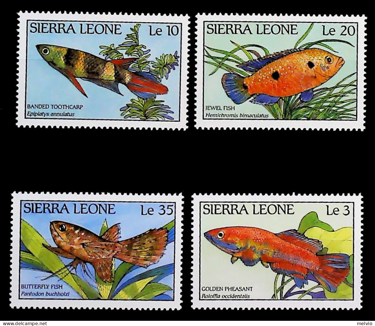 1988-Sierra Leone (MNH=**) Serie 4 Valori Pesci - Sierra Leone (1961-...)
