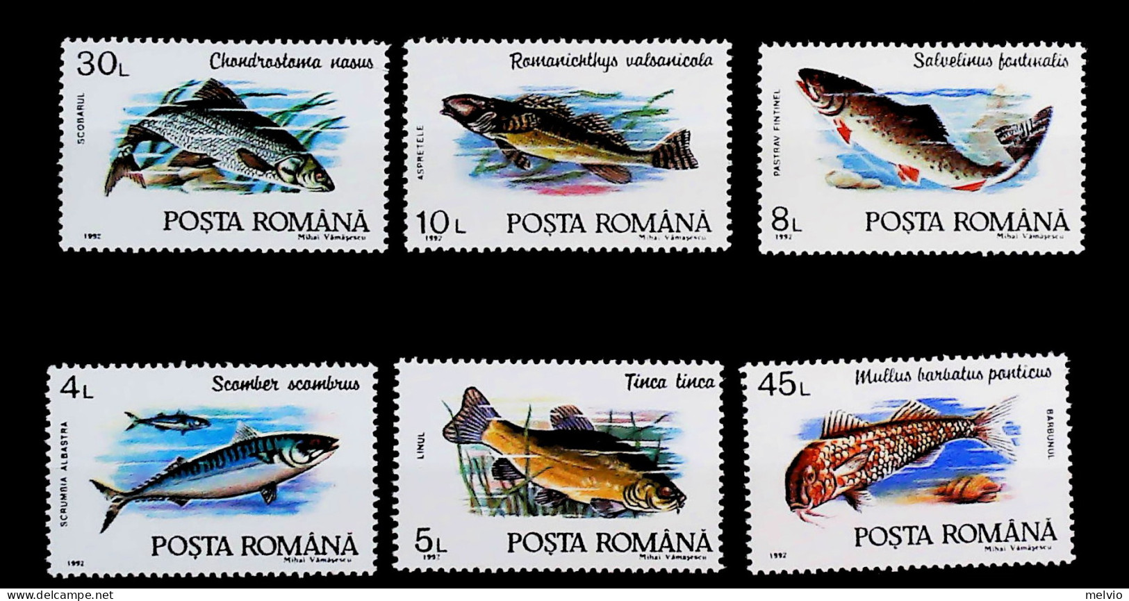 1992-Romania (MNH=**) Serie 6 Valori Pesci - Other & Unclassified