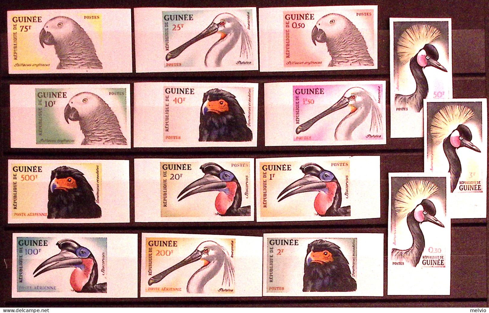 1962-Guinea (MNH=**) Serie 15 Valori Uccelli Non Dentellati - Guinee (1958-...)