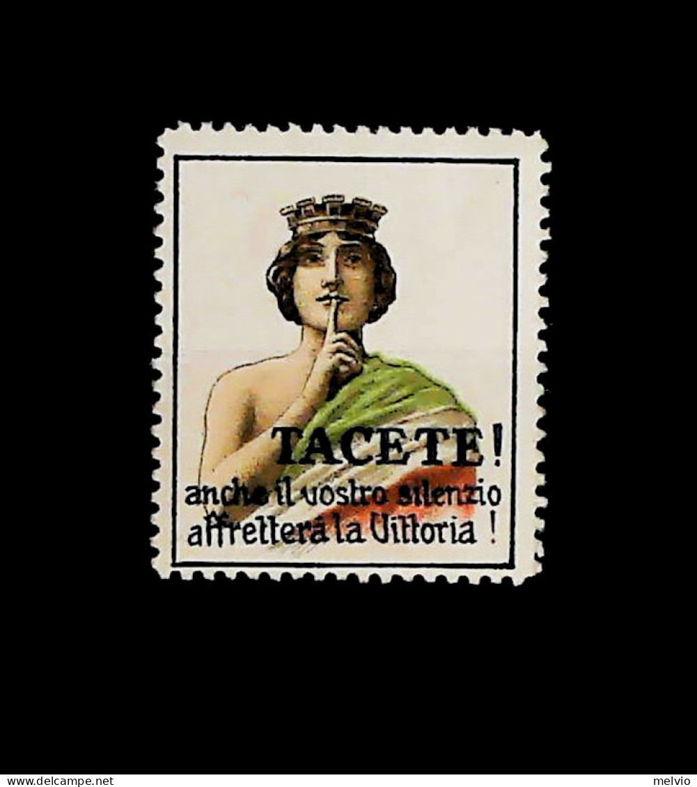 1915-Italia (MLH=*) Propaganda Fascista Di Guerra Erinnofilo - Erinnophilie
