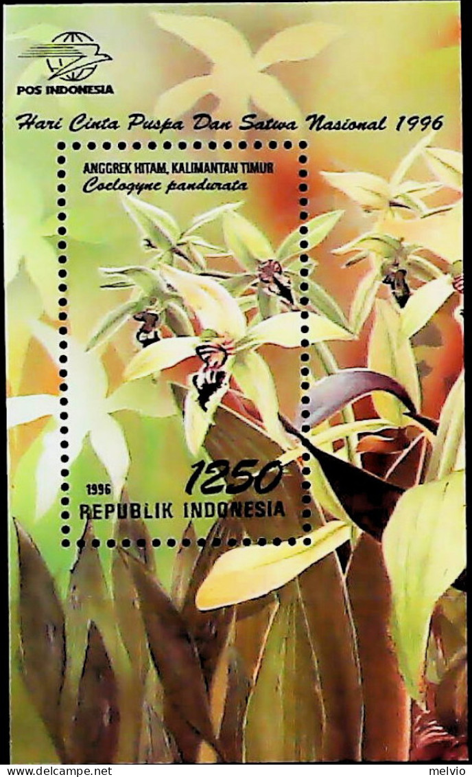 1996-Indonesia (MNH=**) Foglietto 1 Valore Orchidee - Indonesia