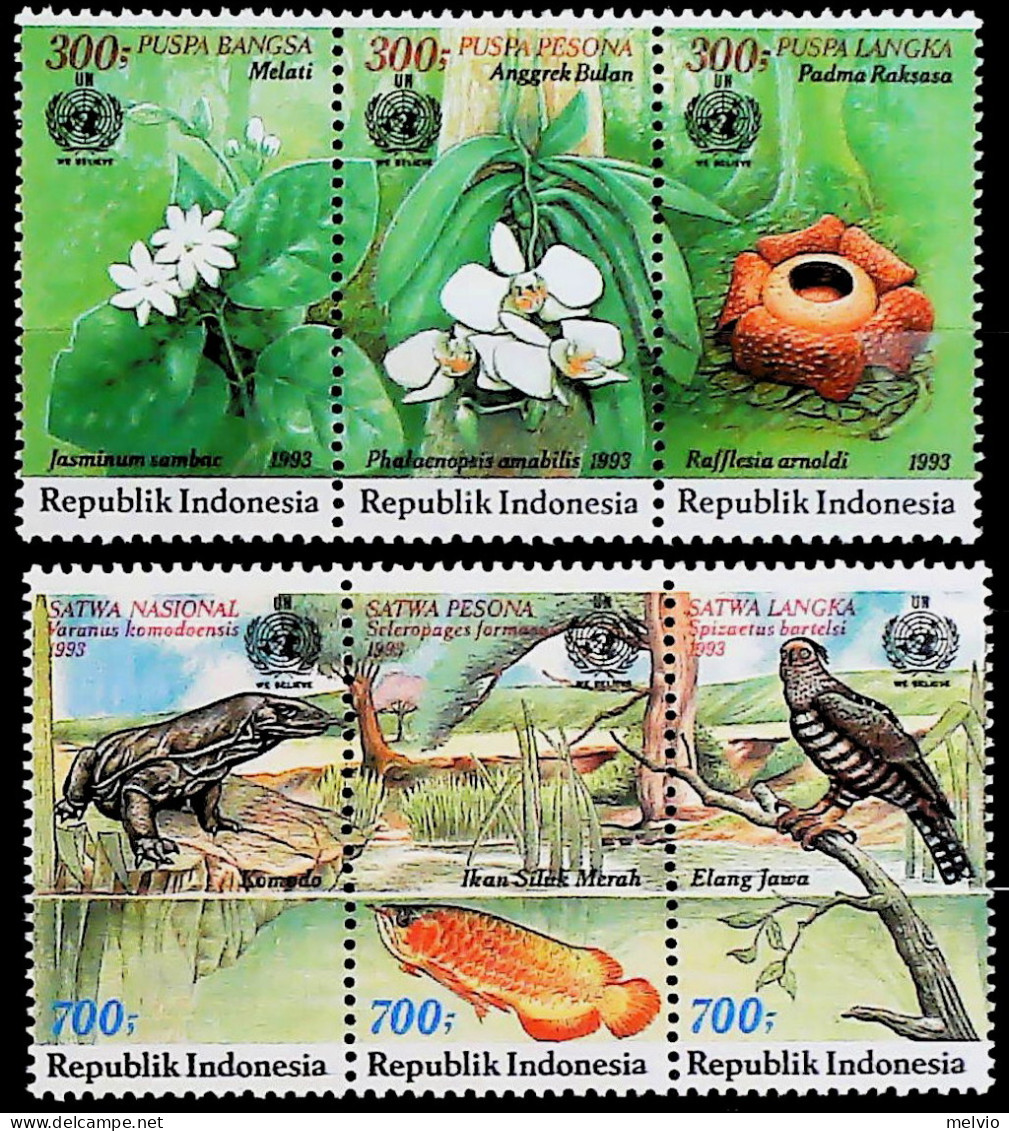 1993-Indonesia (MNH=**) Serie 6 Valori Flora Fauna - Indonésie