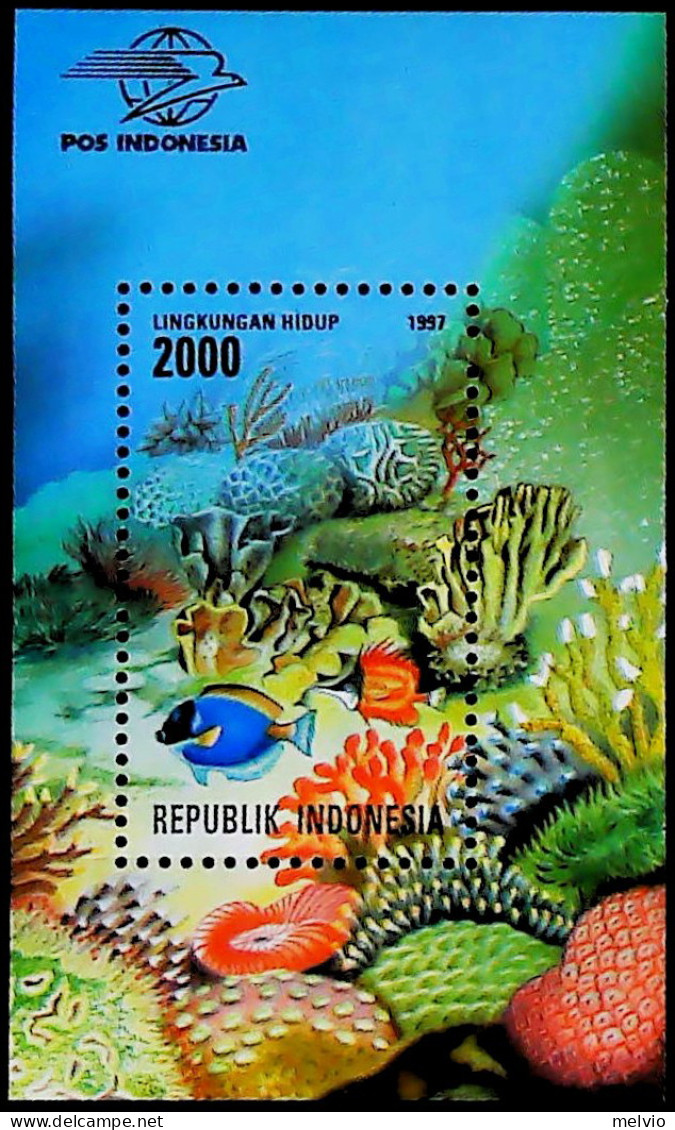 1997-Indonesia (MNH=**) Foglietto 1 Valore Pesci - Indonesia