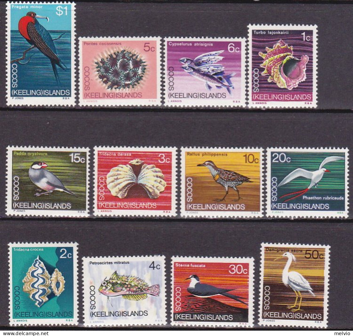 1969-Cocos Isole (MNH=**) S.12v."Shells,Birds,Decimal Currency"cat.Stanley Gibbo - Cocos (Keeling) Islands