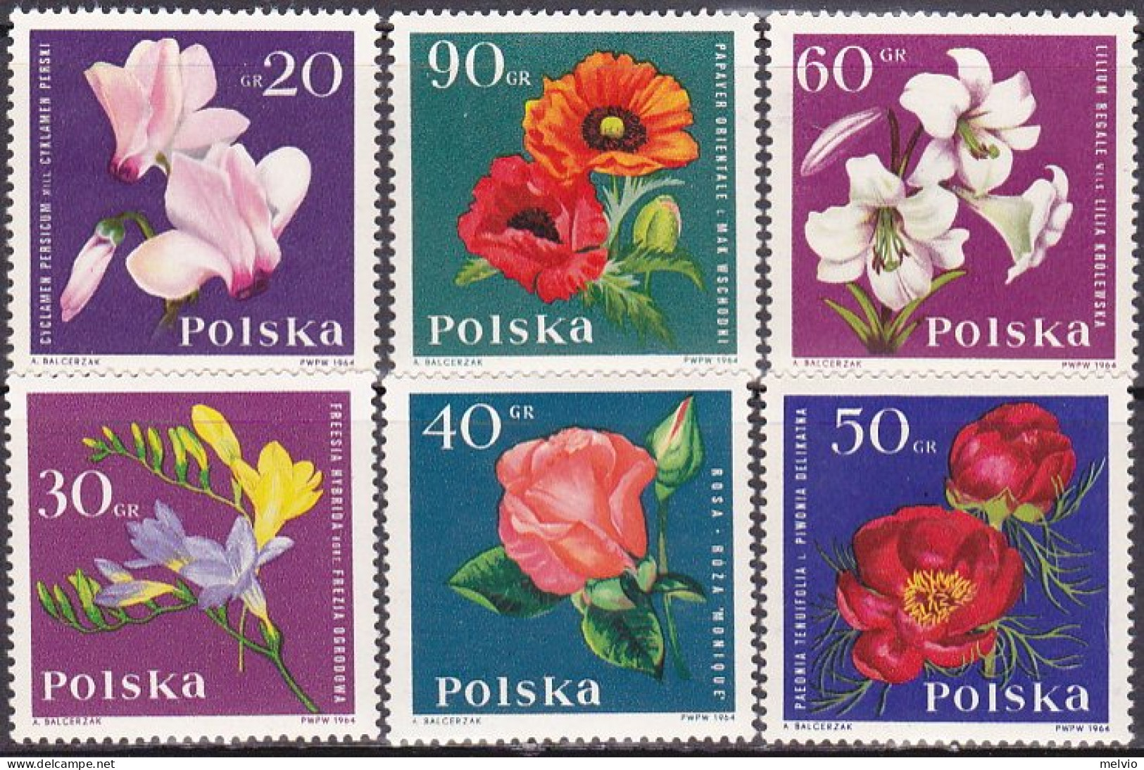 1964-Polonia (MNH=**) S.12v."fiori"catalogo Yvert Euro 7,75 - Other & Unclassified