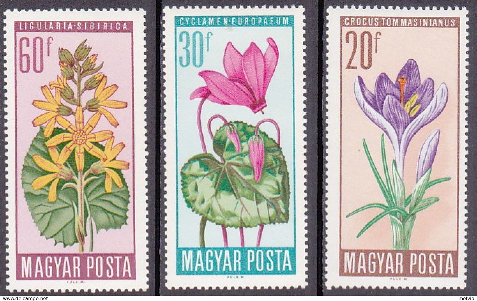 1966-Ungheria (MNH=**) S.6v."Fiori"catalogo Yvert Euro 6 - Sonstige & Ohne Zuordnung