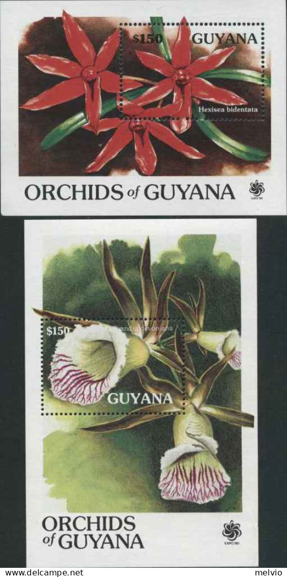 1990-Guyana (MNH=**) Serie Di Due Foglietti Da 1v."orchidee"catalogo Euro 18 - Guyana (1966-...)