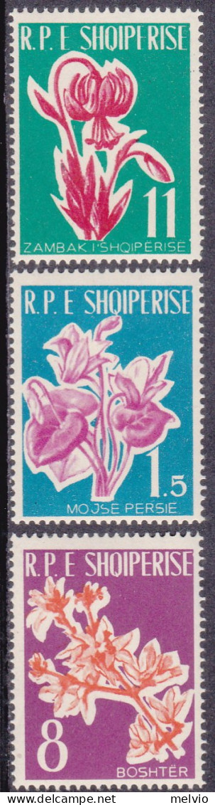 1961-Albania (MNH=**) S.3v."fiori"catalogo Yvert Euro 22 - Albanië